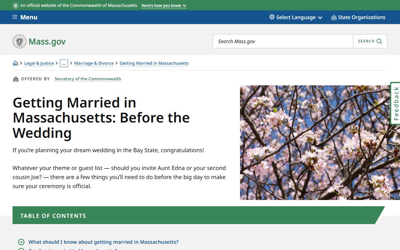 Massachusetts guide to getting married and marriage license requirements